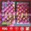 fresh fuji apple fruit for sale from China wholesale distributors