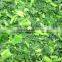 IQF chopped spinach/frozen spinach balls/
