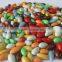 top quality/export popular chocolate coated sunflower seeds