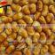Hot sale Fried /roasted fava bean aluminum bags