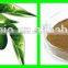 Olive Leaf Extract from GMP Certified Manufaturer