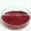 GMP Factory Supply High Quaity Cranberry Fruit Extract