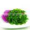 Chuka wakame kosher