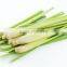 Lemon Grass Oil wholesalers.