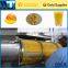 Stainless steel mango pulper/mango puree extractor machine