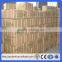 Electro/hot dip galvanized concrete nails/Construction and Building Common iron nail(Guangzhou Factory)