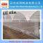 multi span agricultural greenhouse
