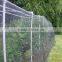 (Factory Supply) Bird netting