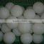 chemical resistance white UHMWPE big ball