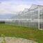 BaoLiDa Large Multi-span Greenhouse Easily Installed PC Sheet Covered Greenhouse