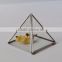 Pyramid shaped glass terrarium for indoor plant holder