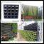 Home and Garden Decoration Plastic Artificial Flower Pot
