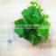 Home and outdoor garden edging christmas decoration 60cm or 24inches Height artificial small grass for green wall E04 1036