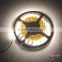12V SMD 5050 warm white high cri 90 led strip with CE approval
