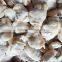 Frozen Baby Clam Size 41-50