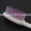 Wholesale disposable toothbrush with new design holder for travel
