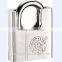 Berrylion Leaf Blade Padlock Half a Pack Security Lock for Sale