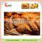 instant dry yeast fast fermentation quality manufacturers