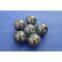 Silicon Nitride(Si3N4) Ball for Bearing