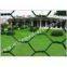 pvc hexagonal wire mesh