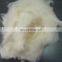 Best quality chinese scoured sheep wool price