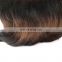 5 T Color Funmi Style Straight Super Double drawn