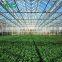 Glass Greenhouse Price Supplier In China