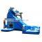 20ft Tall Inflatable Wet and Wild Shark Double Water Slides With Pool