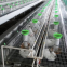 Système de cages pour lapins d'élevage industriel pour l'industrie de l'élevage de lapins 24/set