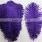 14"-16" Wholesale Purple Ostrich Feather Fabric For Ostrich Feather Fan Decoration