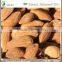 Cosmetic Grade Sweet Almond Oil Price in China