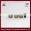 China Suzhou Hongyi Supplier Special Screw In Torx Socket Flat Big Head With Nyloc Patch