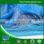 PE Tarpaulin/ PE TARP/POLY TARP/TRUCK COVER/CANVAS TARPAULIN/canvas sheet for transportation and storage