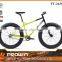 26"  china snow fat bike/big pocket bikes for sale (PW-FT26304)