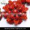 fashion jewelry wholesale red resin flower chain choker necklace jewelry 2016