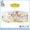 Modern Beautiful Flower and Butterfly Kids Ceiling Lamp