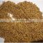 top quality alfalfa grass seeds for sale