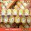 500g/Bottle packed fresh royal jelly