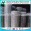 galvanized welded wire mesh