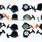 Garden Tool Engine Spare Parts For Replacement Starter