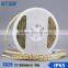 2.4W SMD 3528 30leds IP20 DC24V DC12V Flexible Led Light Strip