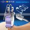 health and beauty care 4 handles Cryo fat freezing machine rapidly slimming criolipolisys machine