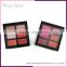 Make up palette chinese makeup brands 6 color blush palette baked blusher