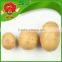 All Year Round Yellow Potato Fresh Purple Sweet Potato