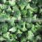 IQF Vegetables Broccoli Frozen Broccoli Factory Best sell