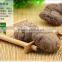 dried mushroom---dried shiitake lentinus edodes without stem