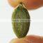 Dried organic new crop shine skin or gourd seeds pumpkin seeds kernels China Origin Inner Mongolia professional factory