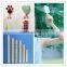 trade assurance supplier woo ice cream sticks