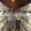 9LCDr-3168 Automatic H-type Multi-tier Broiler Cage for Chicken
