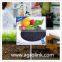 Agrolink also agent the best organic fertilizer sargassum seaweed fertilizer